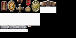 StR_medals.jpg