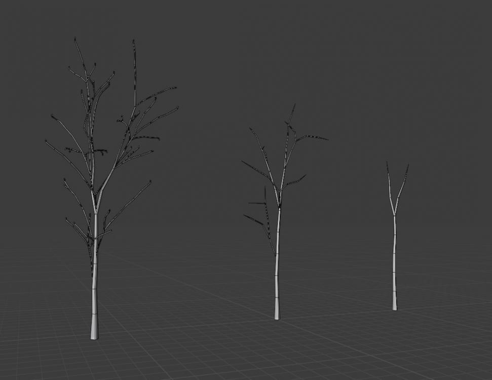 trees.jpg